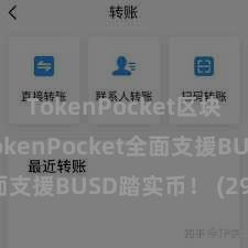 TokenPocket区块链合约 TokenPocket全面支援BUSD踏实币！ (29个字)